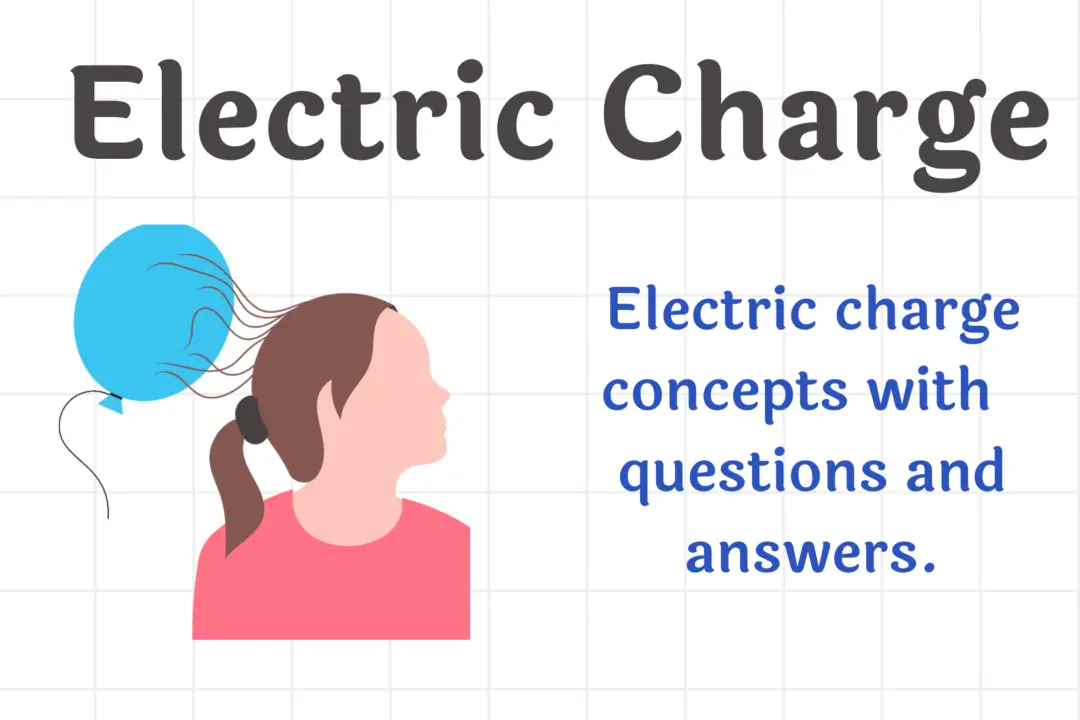 Electric Charge Concept