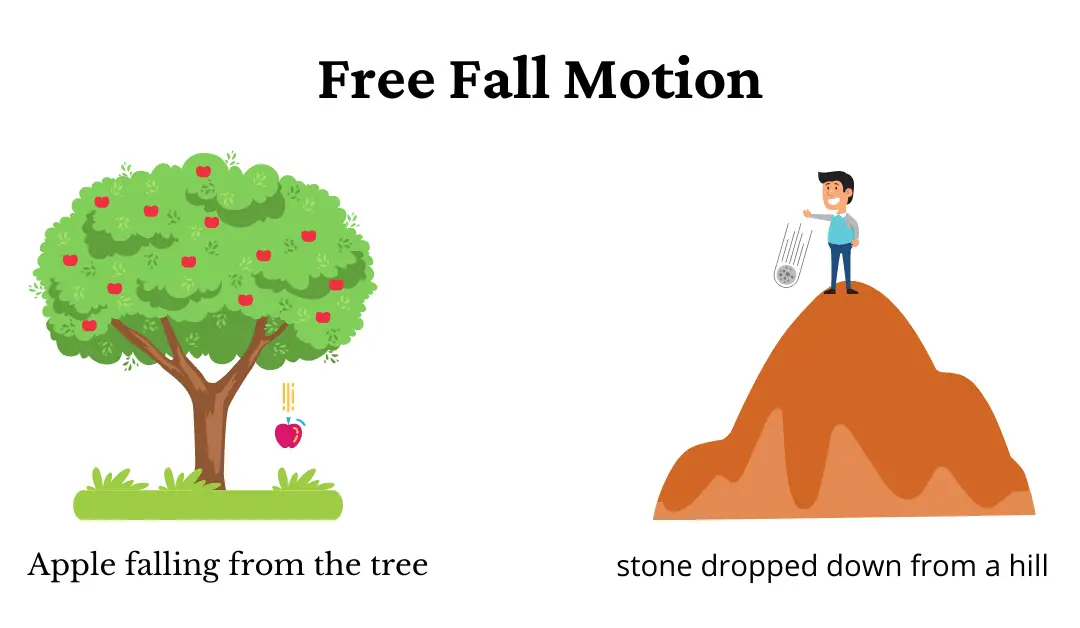 free-fall-motion