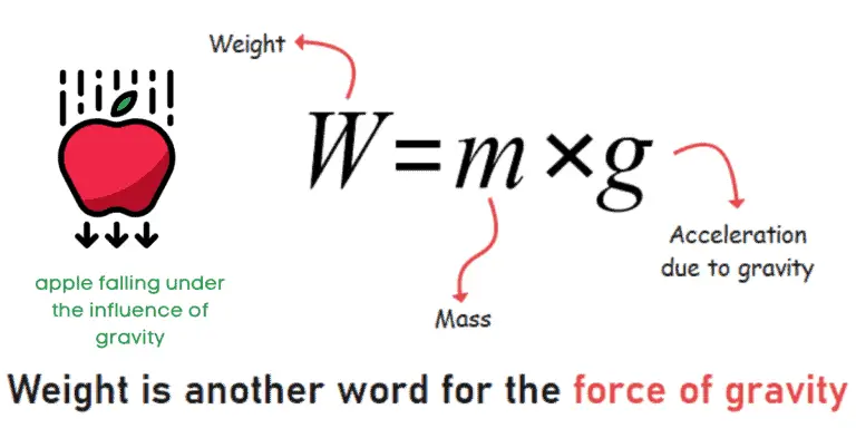 Is weight a vector or scalar? - PhysicsGoEasy