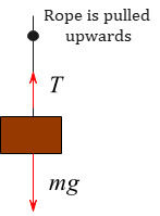 free body diagram of a mass hanging from a rope